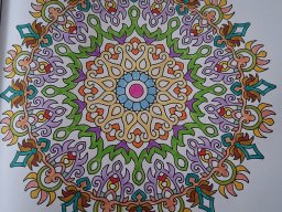 whatsapp bild 2025-03-29 um 11.00.59_36edc735